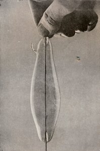 A primeira lâmpada elétrica incandescente, c1916 de Unbekannt