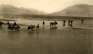 A primeira vista do Monte Everest, c1918-c1939. de Unbekannt