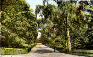O passeio da flor, jardins de Kensington, Londres, século XX de Unbekannt