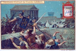 Os gansos da capital, cartão continental da Liebig, c1900 de Unbekannt
