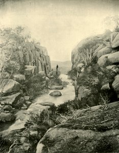 O desfiladeiro, Buffalo Falls, Alpes vitorianos, 1901. de Unbekannt