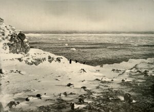 O último dos pinguins, pouco antes de sua migração, em março de 1908, 1909. de Unbekannt