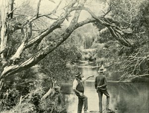 O local de lançamento, Upper Yarra, Victoria, 1901. de Unbekannt