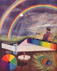 As muitas cores que compõem a luz branca, 1935 de Unbekannt
