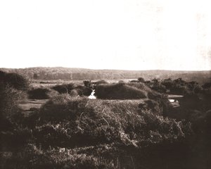 A Nova Floresta, Hampshire, 1894. de Unbekannt
