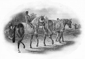 A Próxima Corrida, século 19, 1911 de Unbekannt