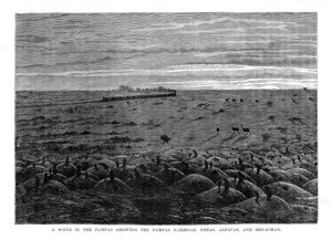 Ferrovia dos Pampas, planície sul-americana, 1877 de Unbekannt