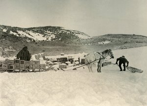 O Pont Quan prestes a desenhar um trenó de lojas, c1908, 1909 de Unbekannt