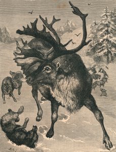A Rena, século c19 de Unbekannt