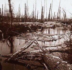 O rio Ailette, norte da França, c1914-c1918 de Unbekannt