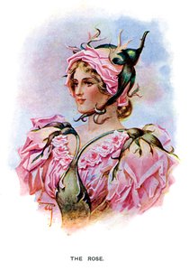 A Rosa, 1899 de Unbekannt