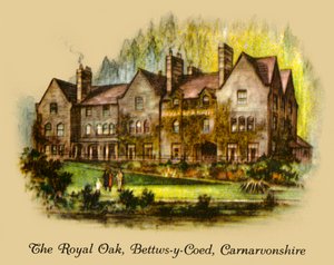 O carvalho real, Bettws-y-Coed, Carnavonshire, 1936. de Unbekannt
