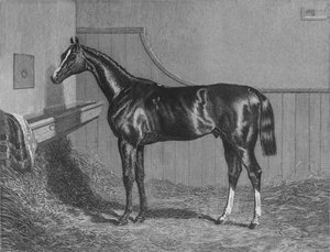 The Rt. Hon. O conde de Lichfields Elis. Vencedor do St. Leger 1836, 1911 de Unbekannt