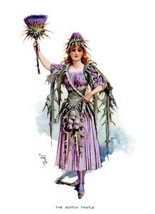 O cardo escocês, 1899 de Unbekannt