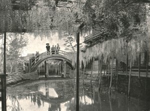 Lagoa Shinji-No-Ike e glicínias, Kameido, Tóquio, Japão, 1895. de Unbekannt