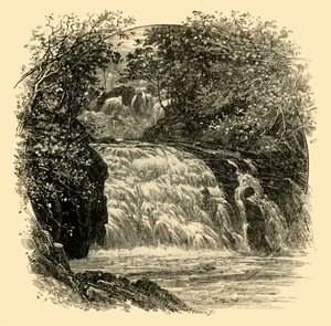 A andorinha cai, 1898. de Unbekannt