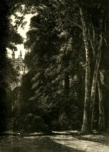 A Torre de Merton, do Jardim, 1898. de Unbekannt