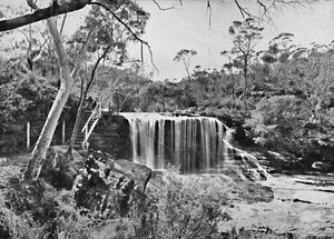 A rocha chorando em quedas de Wentworth, montanhas azuis, c1900. de Unbekannt