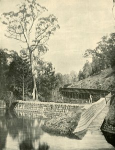 O Weir e Fluming, Kirks Reservoir, 1901. de Unbekannt