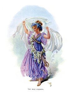 O jacinto selvagem, 1899 de Unbekannt