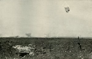 O urso felpudo., 1919. de Unbekannt