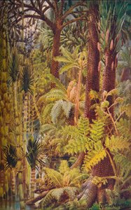 A vegetação gigantesca da Era Carbonífera, 1907. de Unbekannt