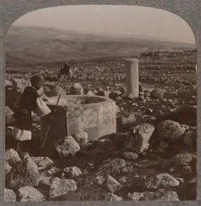 As ruínas de Tekoa, c1900 de Unbekannt