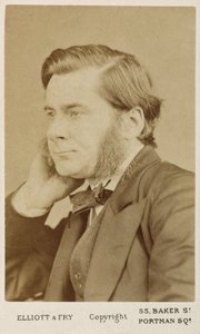Thomas Henry Huxley, biólogo britânico, c1865-1886 de Unbekannt