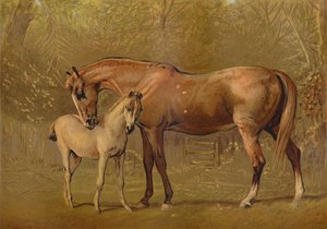 Égua e potro do puro-sangue, c1879. de Unbekannt