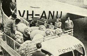 Transporte de carneiros-prêmio por via aérea, c1948. de Unbekannt