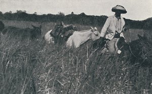 Viajar nos Pampas, 1916 de Unbekannt