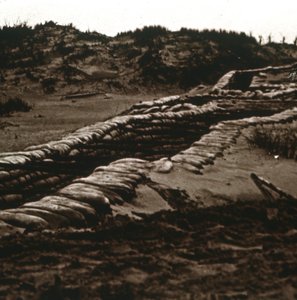 Trincheiras no abrigo das dunas, Nieuwpoort, Flandres, Bélgica, c1914-c1918 de Unbekannt