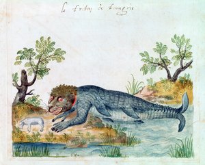 Tritão, século XVI de Unbekannt