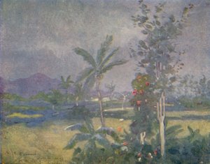 Chuvas tropicais nas Índias Ocidentais, 1924 de Unbekannt