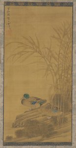 Dois patos entre juncos à beira da água, dinastia Ming ou Qing, século XV-XVIII. de Unbekannt