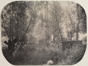 Paisagem sem título com cachorro, c. 1910 de Unbekannt