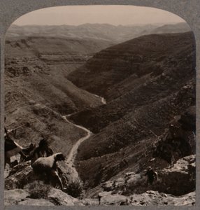 Vale do Arno, pastor e ovelhas em primeiro plano, c1900 de Unbekannt
