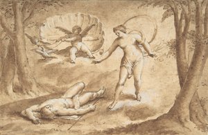 Vênus descobrindo a morte de Adonis, século XVII. de Unbekannt