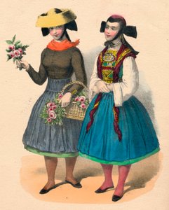 Garota Vierlander, século XIX. de Unbekannt