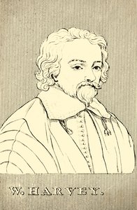W. Harvey, 1578-1657, 1830. de Unbekannt