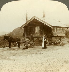 Esperando passageiros na estrada perto de Bolkesjo, Noruega, c1905. de Unbekannt