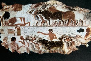 Pintura de parede do túmulo de Nebarunun, Tebas, Egito, c1350 aC de Unbekannt