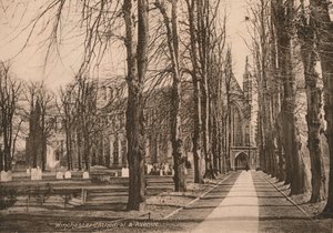 Catedral de Winchester e Avenida, Hampshire, início do século XX. de Unbekannt