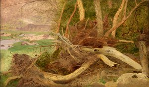 Paisagem arborizada com ponte, ca. 1860-1870. de Unbekannt