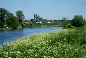 Catedral de Ely e o rio Ouse de Unbekannt Unbekannt