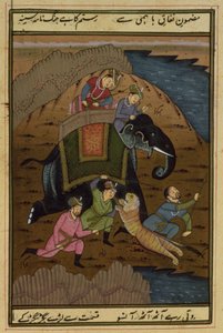 Imperador Akbar (1556-1608) em uma caça ao tigre, do Akbarnama, Mughal, (texto ilustrado) de Unbekannt Unbekannt