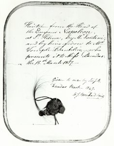 Corte de cabelo da cabeça do imperador Napoleão por Giovanni Natale Santini e dado por ele a William Temple Franklin, 1816 (cabelo) de Unbekannt Unbekannt