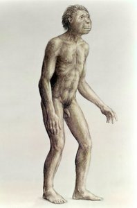 homossexual de Unbekannt Unbekannt