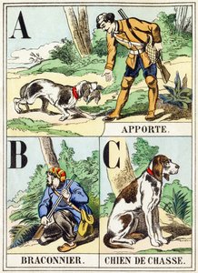 A B C: Trazer, caçador furtivo, cão de caça - O alfabeto de caça, c.1890 (gravura) de Unbekannt