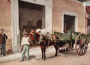Um Carrinho de Mula em Havana liderado por - fornecedor (foto) de Unbekannt